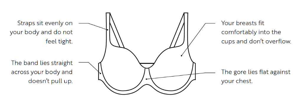 bra guide